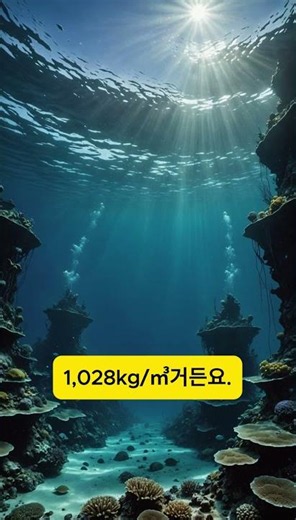 바다 속 바다? 염도 8배 '브라인 풀'의 비밀 #바다의비밀 #심해탐험 #해양과학 #브라인풀 #신기한자연 #과학다큐 #해양생물 #지구의신비