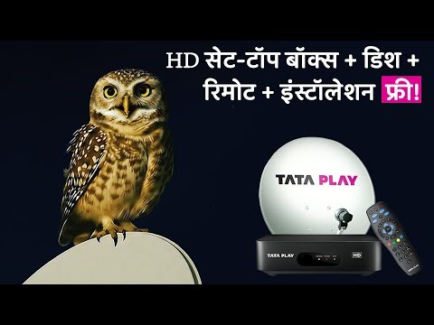 🎁 Free HD Set-Top Box, Remote और Installation – सिर्फ Tata Play धमाका ऑफर के साथ
