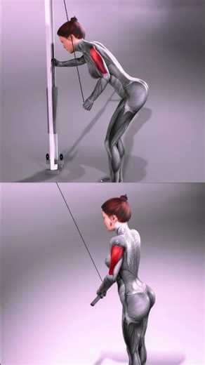 Two Cable Machine Variations To Target Triceps