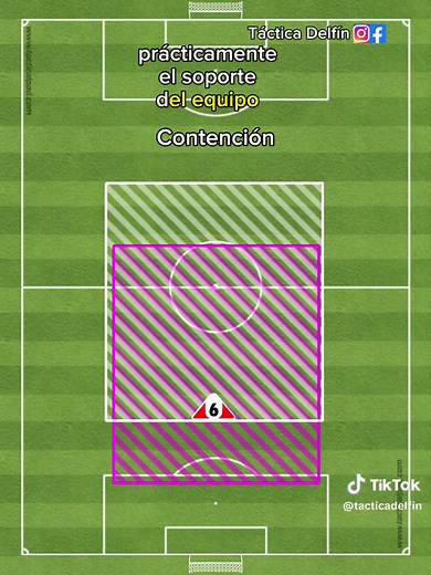 Conoce las demarcaciones (posiciones) defensivas y algunos de sus roles dentro de la cancha ⚽️📚 #futbol #alineacion #soccer #portero #defensas #contencion #tacticalpad #tacticasfutbol #entrenador #coach