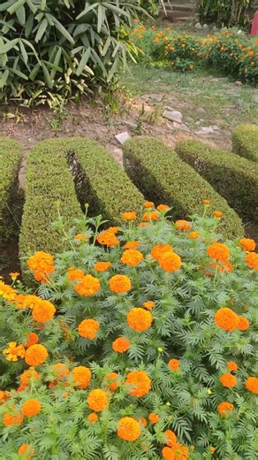 Botany l Ravenshaw University #plants #science #nature #world #peace #flowers #environment #ecology