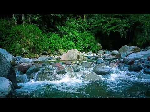 🌊 Gentle River Soundscape ASMR for Deep Sleep, Relaxation & Stress Relief