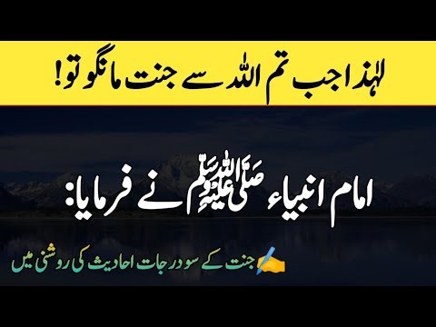 When You Ask Allah for Paradise Remember This || Hadees e Nabvi ﷺ || Hadees Shareef in Urdu | Hadith