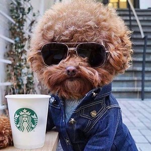 Sleep Sounds -1 Hour  Heartbeat Sound Of Human Heart And Pulse - Sleep Video