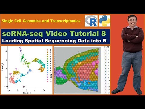 Seurat Video Tutorials--Video 8: Loading Spatial Sequencing Data into R