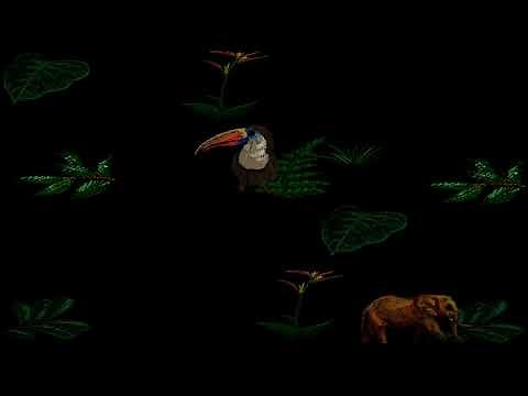 Windows 98 Jungle Screensaver (1 Hour)