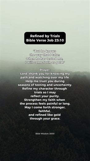 Job 23:10 | Refined by Fire, Strengthened by God #Job2310 #FaithInTrials #BibleVerse