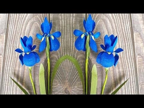 Paper iris flower DIY tutorial - How to make crepe paper Irises, Handmade EASY