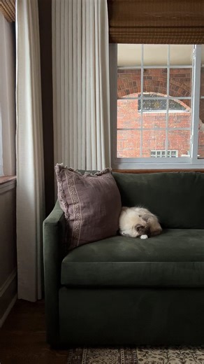 Elisha | Design & DIY on Instagram: "AD: Winter is coming… What spray paint projects have you been putting off? Let @krylonbrand help! It feels so good to have these tasks crossed off our list before the cold weather comes 🥶❄️ Fusion All-in-One is a perfect product for both indoor and outdoor projects. It delivers best-in-class adhesion and is meant for long-lasting finishes! These are the colors we used: •Satin Black •Metallic Oil Rubbed Bronze •Matte Coffee Bean #KrylonPartner #AnyoneCan #Kry