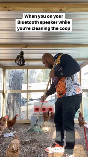 718K views · 8.8K reactions | Bluetooth speaker while you’re cleaning the chicken coop  #farmlifebestlife #farmlife #homestead #homesteadlife #atlantafarm #chickendaddy #chickens | BlackYard Chickenz | Facebook