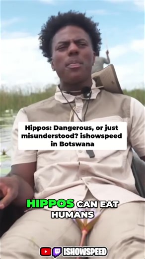 Hippos eat people? Nope, but they CAN kill. Respect their space, especially around babies. Keep your distance! #HippoFacts #Wildlife #AnimalSafety #NatureIsScary Follow @istreamclippz for exclusive clips.#ishowspeed