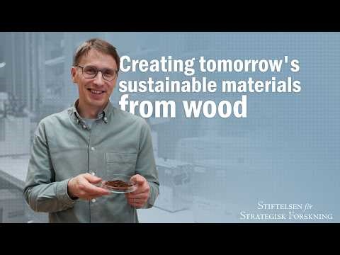 From lab to reality - lignin from wood becomes glue and hair conditioner