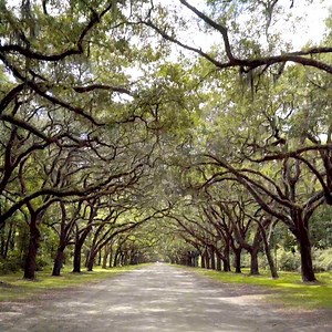 150K views · 437 reactions | More than 300,000 people took the survey...