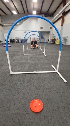 Puppy Agility Hoops Slow Motion = Pure Joy Do you want your puppy or dog to dabble with Agility equipment and skills? We have a class for that. Agility Fun (4-weeks) Tuesdays at 5:30 pm Starting 10/14 ONLY $130 **limited to 4 teams Enroll here: https://caninecountryacademy.dogbizpro.com/public/registration/index.aspx?schedule=3215 | Canine Country Academy