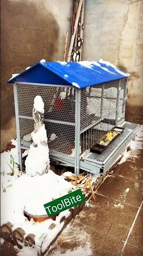 Winter-Ready Chicken Coop That Keeps Chickens Safe & Warm