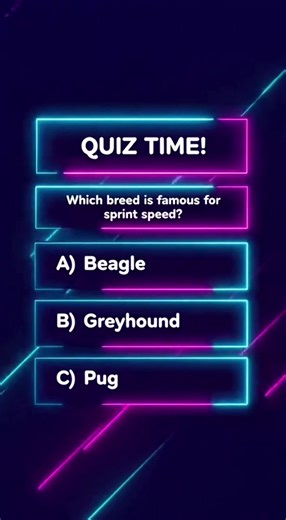Your brain is about to catch fire 🔥 These 4 questions will test EVERYTHING you know. Can you survive till the end?