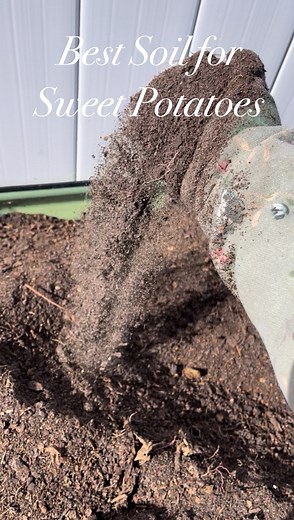 2.2K views · 15 reactions | In this bed, I used coconut coir, compost, and garden soil . Coconut coir keep everything fluffy and is amazing for texture and drainage, but it’s basically nutrient-empty. So I always add a few amendments to bring nutrients back into the soil so they have the nutrients they need to grow  #sweetpotatoes #gardening #gardeningtips #growyourownfood | Zatavia Moorer | Facebook