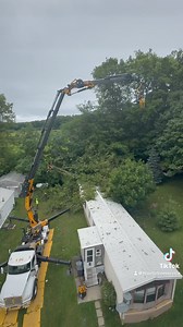 1.3M views · 8.6K reactions | Kravitz Tree Service LLC on Reels | Facebook