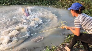 39K views · 664 reactions | Top 4 Incredible Girl Cast Net Fishing for Biggest River Monsters Giant Fish | Survival with Emma | Facebook