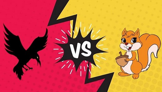 Do crows eat squirrels? ( 7 facts you don't know) - AnimalFate