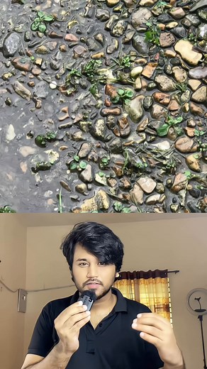 203K views · 498 reactions | Find The Frog | Voice Of Megh | Facebook