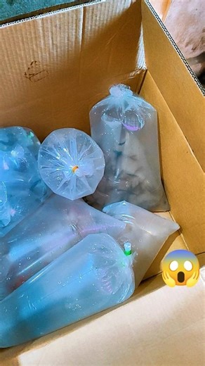 💥New fishes unboxing 🐟🐠#fish #shortvideo #fishing #aquarium #trending