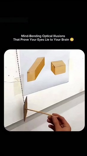 Nolan Physics on Instagram: "This incredible video demonstrates how easily our visual perception can be tricked by famous optical illusions! We prove that seeing is definitely not believing by physically measuring three classic tricks: * Perspective Illusion: Two three-dimensional shapes that appear to be wildly different sizes are shown to be identical. * Jastrow Illusion: Two curved segments that look like they have two distinct sizes are placed on top of each other to prove they are the same