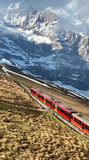 Another uneventful train ride in Switzerland… Just Europe’s highest railway climbing 3,454 metres through the heart of the Alps. Yawn. 🚂❄️ Built between 1896 and 1912, the Jungfraujoch Railway is considered one of those boringly legendary Swiss achievements: engineering masterpieces, breathtaking glaciers, and a tunnel carved through the Eiger. No big deal. Just another postcard landscape from our beloved #Switzerland. 🇨🇭⛰️🚞 #BoringSwitzerland #Jungfraujoch #SwissAlps #PostcardViews #SwissAb