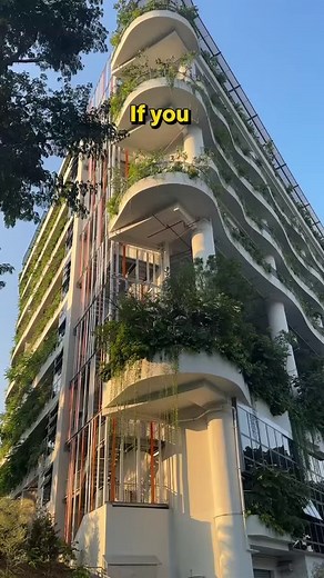 24K views · 125 reactions | [FIRST LOOK] Far East Flora’s new mega 11-storey Garden Centre is now open, with over 1500 plant and flower varieties, in-house café and bakery, artisanal grocer, pet store and rooftop sky garden! Far East Flora Centre435 Clementi Road, Singapore 599873⏰ 8am-9pm daily | SHOUT | Facebook