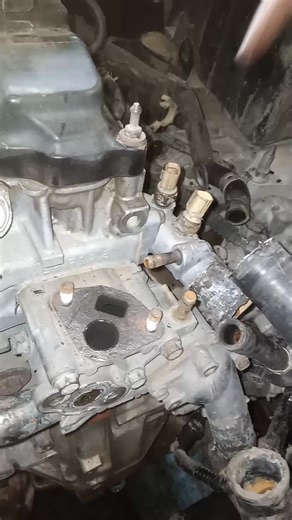 How to Check Cooler Temperature Switch Effectively