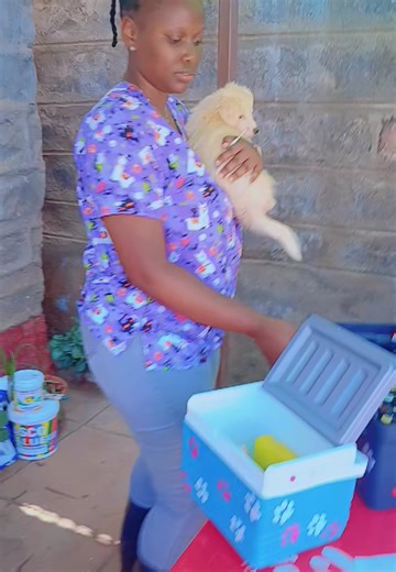 Common Socialisation Mistakes Dog Owners Make