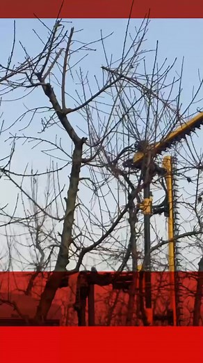 ✂️ Winter pruning — we’ve got the kit to make it faster, safer, and a...