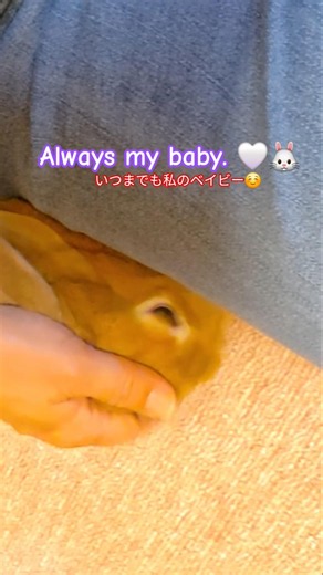 Always my baby. 🤍🐰