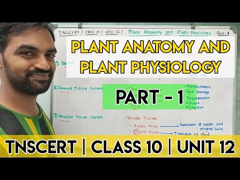 TNSCERT | Class 10 | Unit 12 | Plant Anatomy and Plant Physiology | Part 1