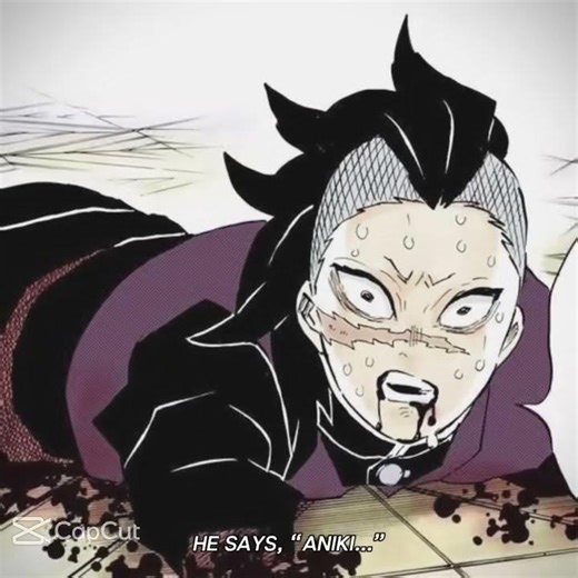 🩶🖤The Shinazagawa Brothers🖤🩶 #capcut #demonslayer #sanemishinazugawa #genyashinazugawa