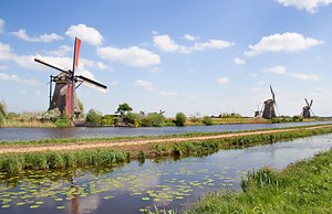 Amsterdam, Kinderdijk & the Dutch Bulbfields