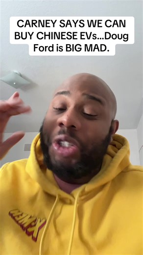 The Jobfather (@thejobfather)’s video of byd cars