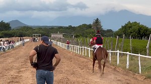 Toro Loco vs Mamba- Carril Rancho Alegre | El Carrilero