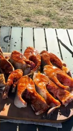 Mountain Trout BBQ & Hot Tea #outdoorcooking#cookingvideo