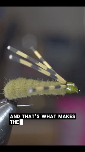 The Bully Bluegill Has a Hidden Design Fish Can’t Resist 🤯