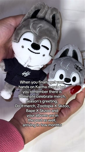 Not only my wallet is suffering, I don’t even get to have my merch on time. Crying in EU and UK! #straykids #straykidsmerch #skzoo #straykidsstay #wolfchan