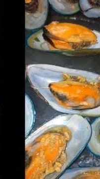 How to cook MUSSELS at home not costly yet tasty??? #food #mussels #house
