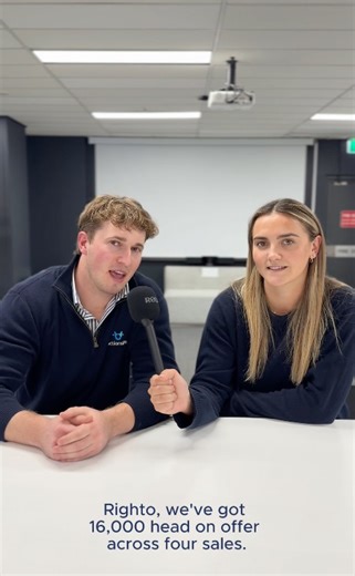2.1K views · 12 reactions | Big day for commercial cattle on AuctionsPlus tomorrow! Tune into today’s update to catch the breakdown of what’s on offer. VIEW FRIDAY CATTLE SALES HERE: https://tinyurl.com/yxbsxfea Sales kick off Friday, August 15 at 9AM AEST - jump online with AuctionsPlus and start bidding! #auctionsplus | AuctionsPlus | Facebook