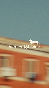 39K views · 128 reactions | THE BEAUTY OF MEDITERRANEAN WINTER Deeper colors, luxurious wools, and refined jacquard patterns. Our Re-classics collection fuses sartorial tradition with a modern twist, all brought to life by exceptional Italian craftsmanship. #HarmontandBlaine #VivereAColori #ReClassics #italianlifestyle #FW25 #MadeInItaly | Harmont & Blaine | Facebook