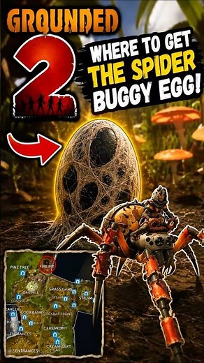 Where and how to get the spider buggy egg #grounded2 #grounded #guide #survialgame #gaming