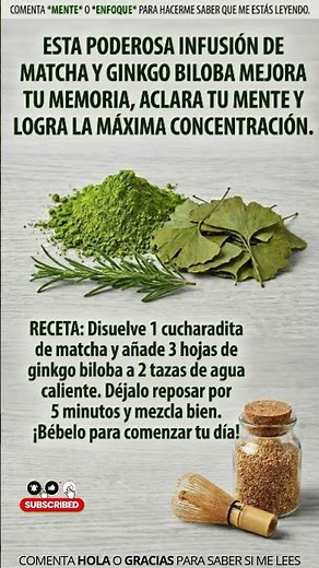 Infusión de Matcha y Ginkgo Biloba