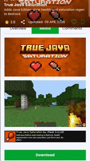 java saturation for MCPE| #minecraft #gaming #mods