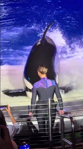 Shamu celebration at Seaworld Orlando.