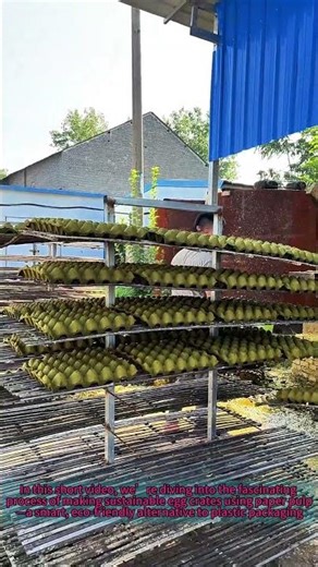 Egg Crate Production: How to Make Sustainable Paper Pulp Crates for Egg Protection
