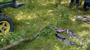 121 reactions · 26 shares | Sometimes the best things come in small packages. And this is one of those times. The Shadow Micro Cam has a footprint of just 7.5 square centimeters, but still manages to deliver 16-megapixel images and HD 720p videos. Check them out here - www.wildgameinnovations.com/browse/trail-cameras | Wildgame Innovations | Facebook